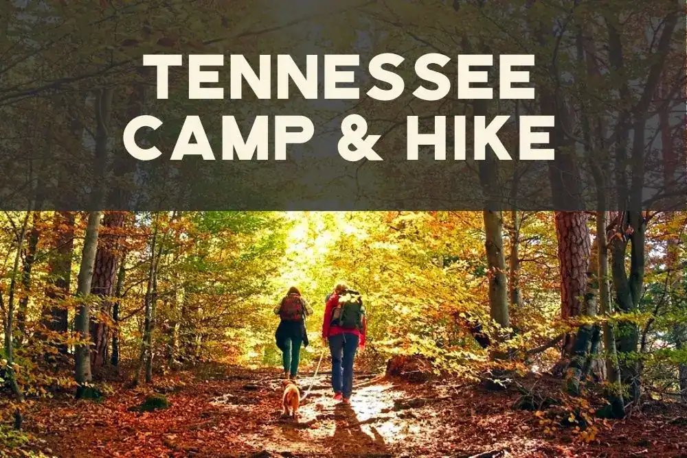 Two hikers walking through a colorful autumn forest trail on a east tennessee trail - feautured in our travel guide for fun vacation ideas for exploring the outdoors. 