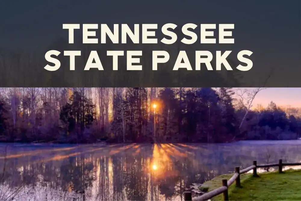 Golden sunset reflecting over a peaceful lake surrounded by tall trees - your tennessee state park vacation guide  with ideas for your next visit