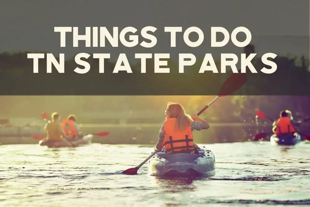 People kayaking on a calm river during a scenic outdoor adventure in a state park.