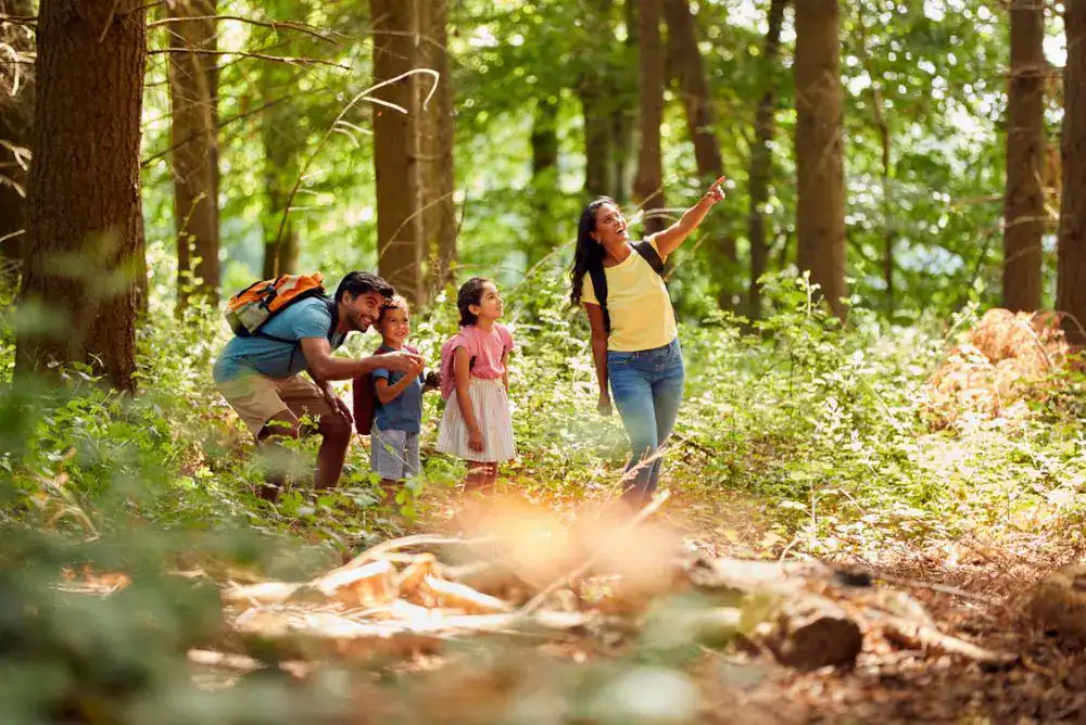 Family hiking through kid-friendly vacation destination in Tennessee — Smoky Mountains trail