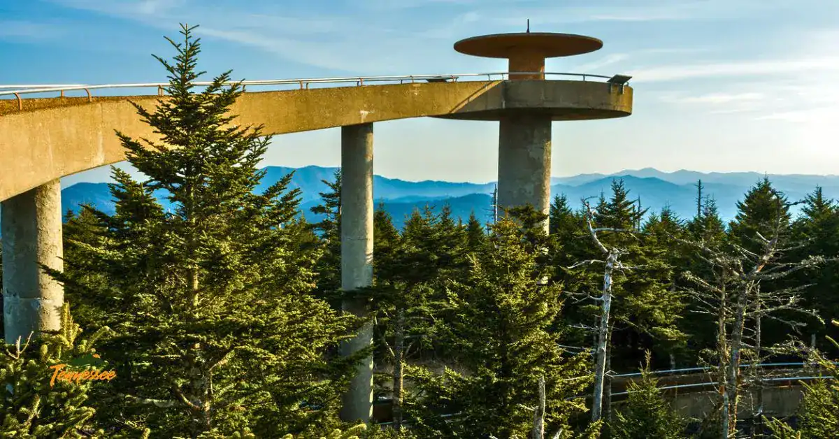 Kuwohi formerly Clingmans Dome observation tower rising above the forest of the Smokies in Tennessee