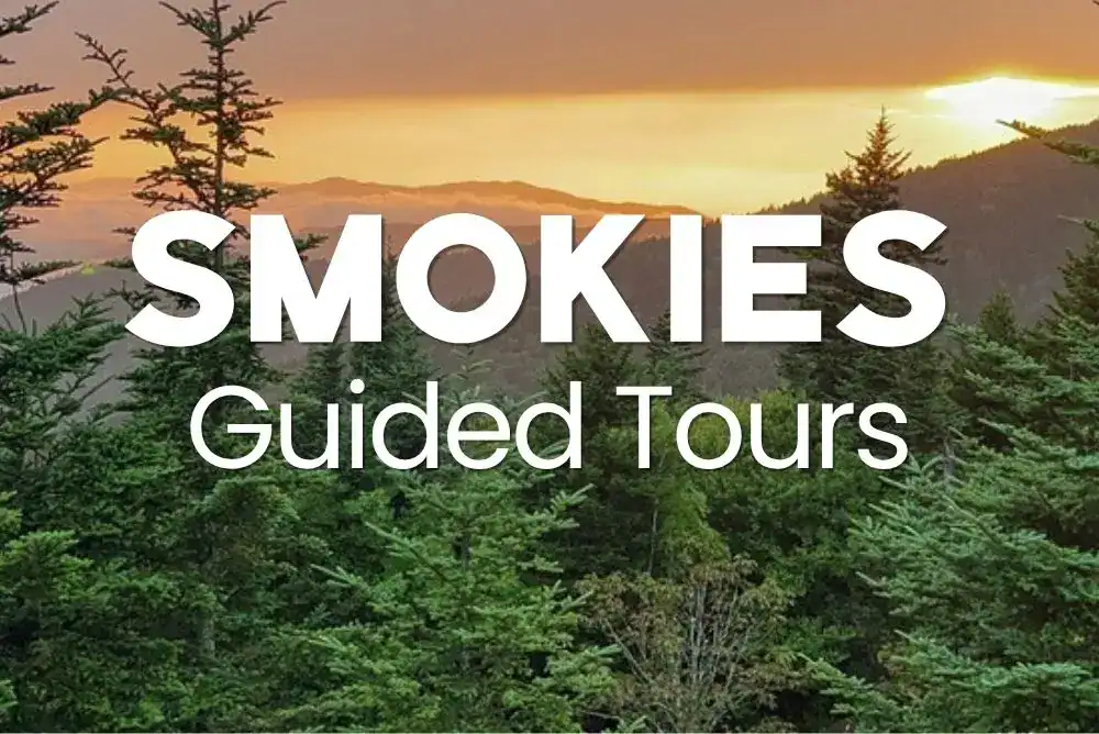 SMOKIES Guided Tours image box for exploring Kuwohi Clingmans Dome and the Smokies