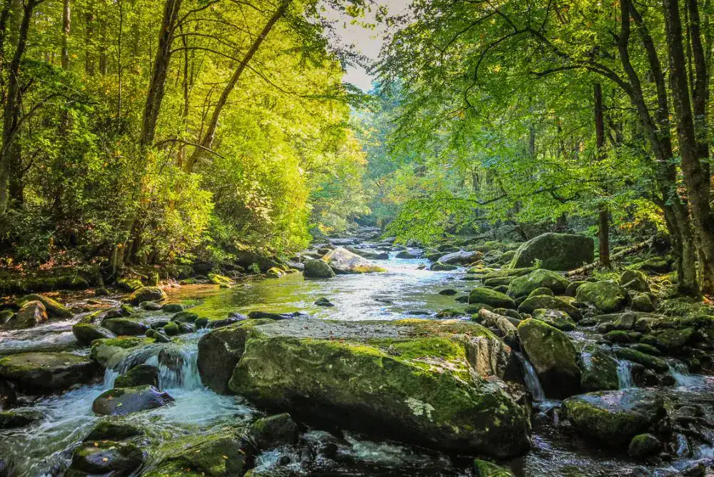 Pigeon River running through the Smoky Mountains - featured in our Tennessee travel Guide - great idea for exploring during your next vacation in East Tennessee. 