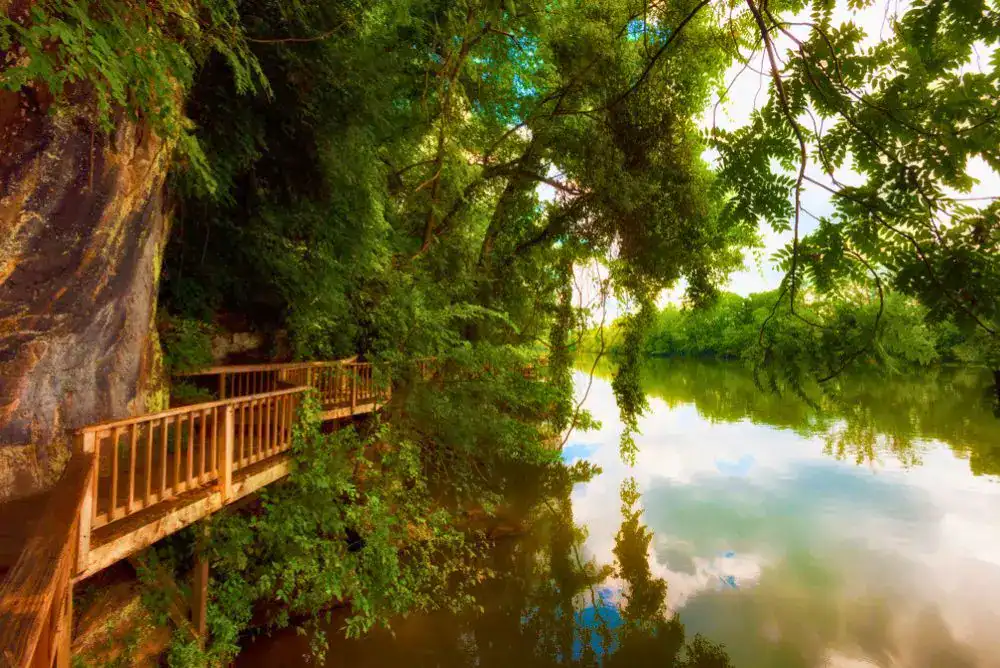 Things to do in Knoxville, TN – walking trail along the river at Ijams Nature Center