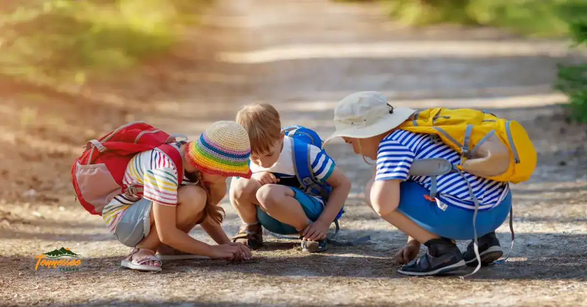 Kids with backpacks discovering nature on a hiking trail — featured image for our guide to fun things to do in the Smokies with kids.