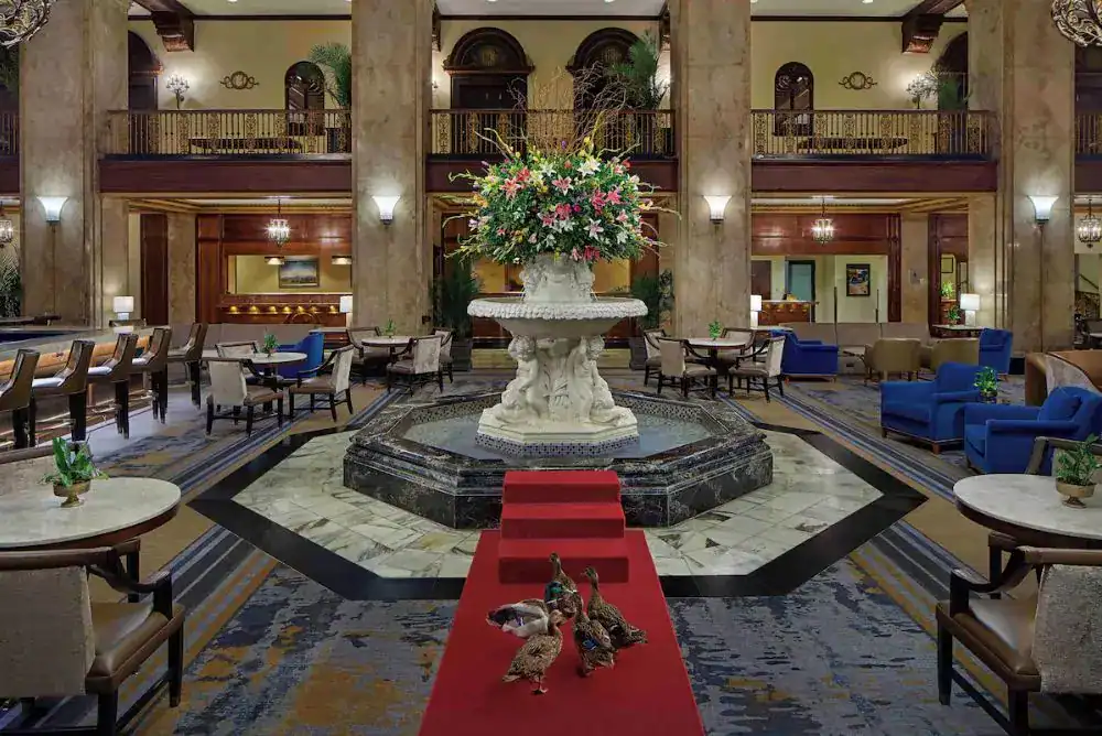 Peabody Ducks marching through the lobby of The Peabody Memphis