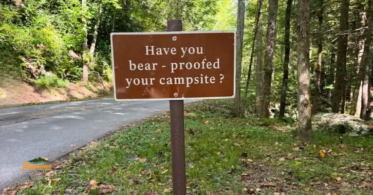 Brown campground sign reading "Have you bear-proofed your campsite?" beside a wooded road, a reminder of bear safety for campers