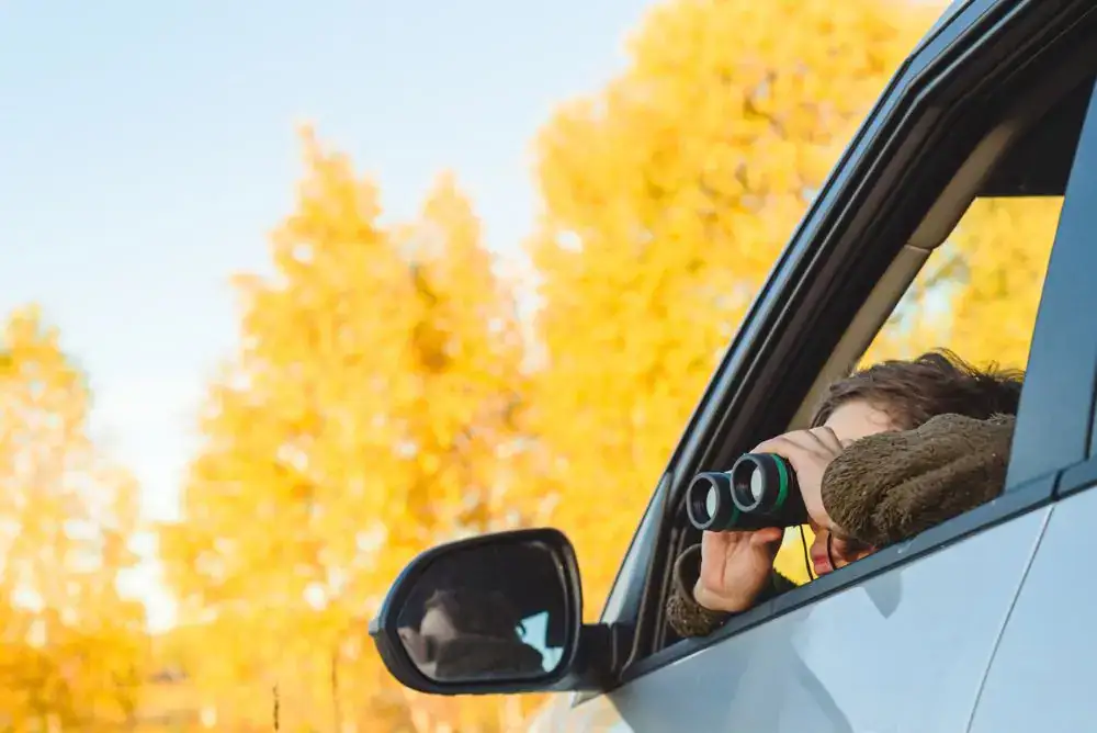 Woman using binoculars to watch wildlife from a vehicle